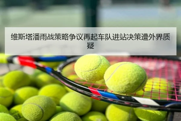 维斯塔潘雨战策略争议再起车队进站决策遭外界质疑